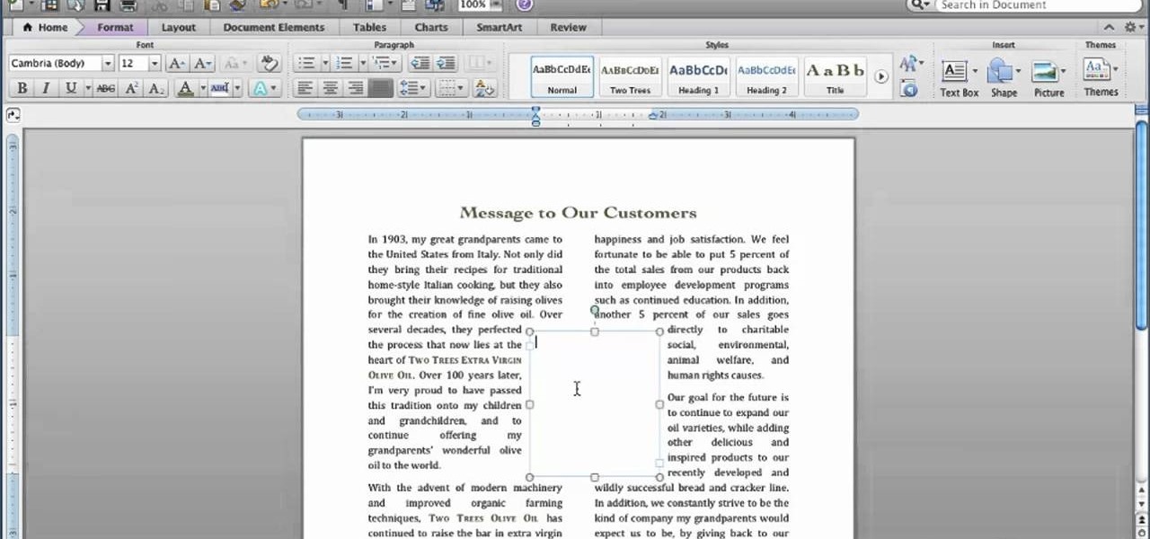 insert built in text box on word 2017 for mac